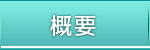 概要